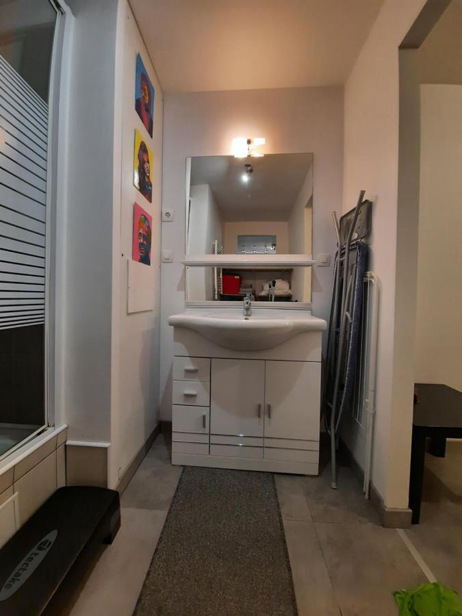 Copropriété les Iris Apartamento Saint-Etienne  Exterior foto