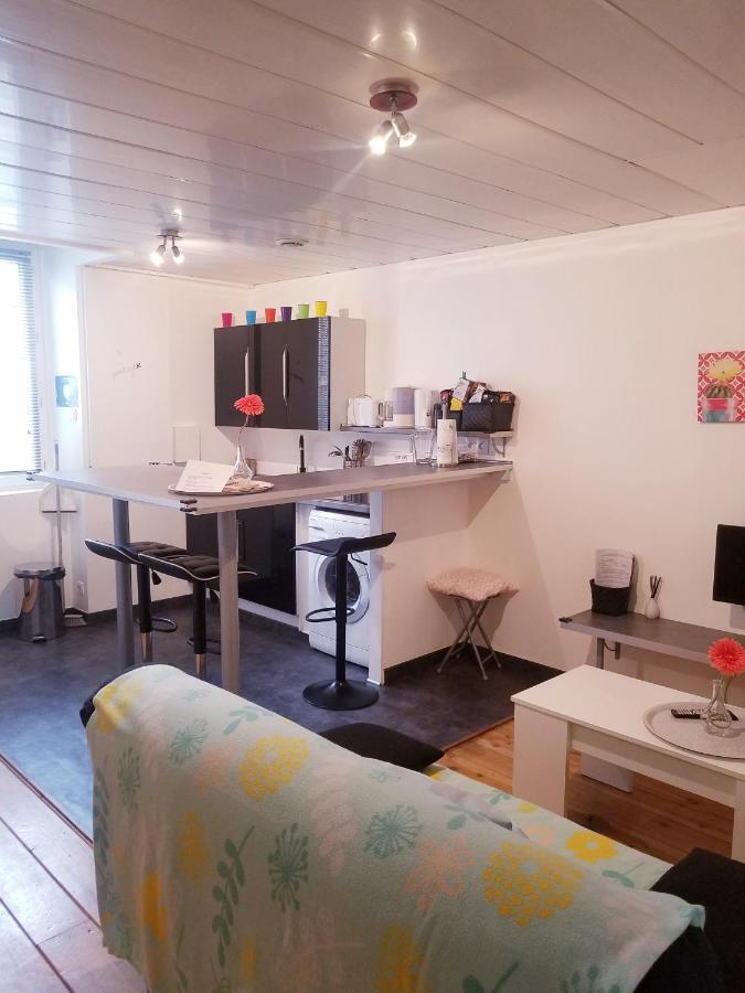 Copropriété les Iris Apartamento Saint-Etienne  Exterior foto